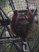 HongKong mei 2008 026.jpg